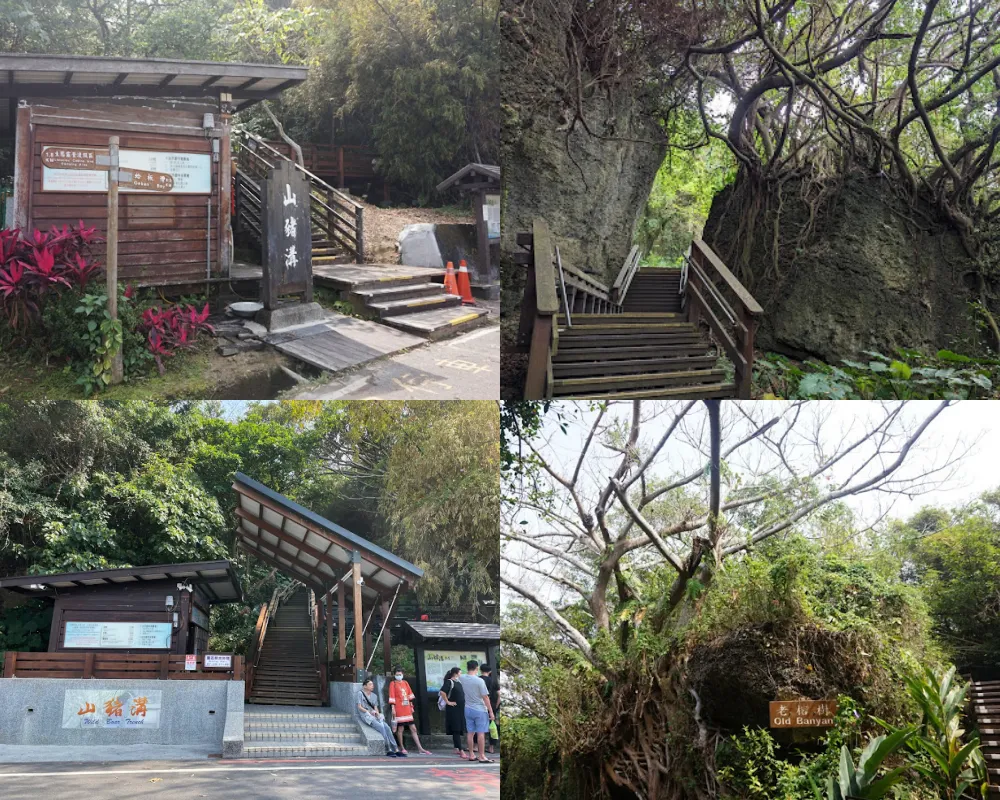 山豬溝生態步道