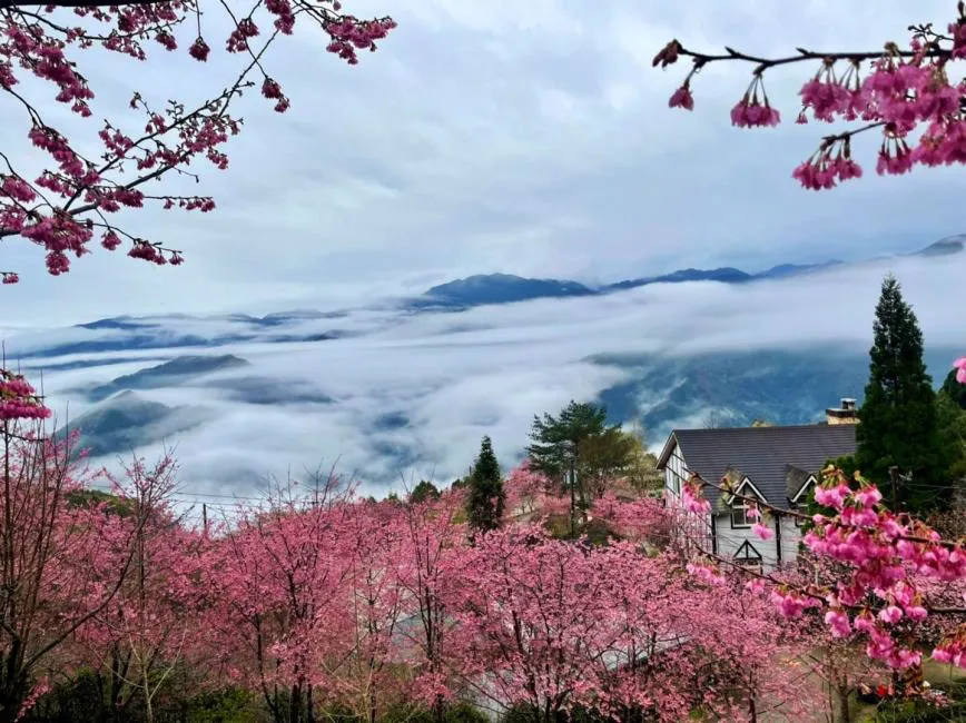 山上人家森林農場