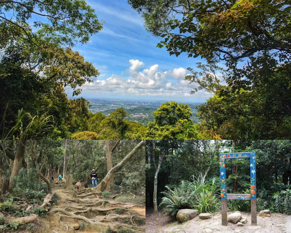 飛鳳山步道