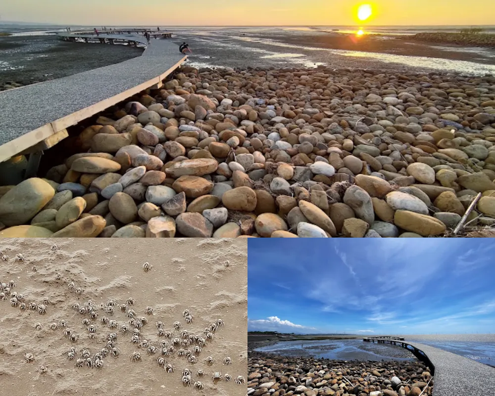 香山濕地賞蟹步道