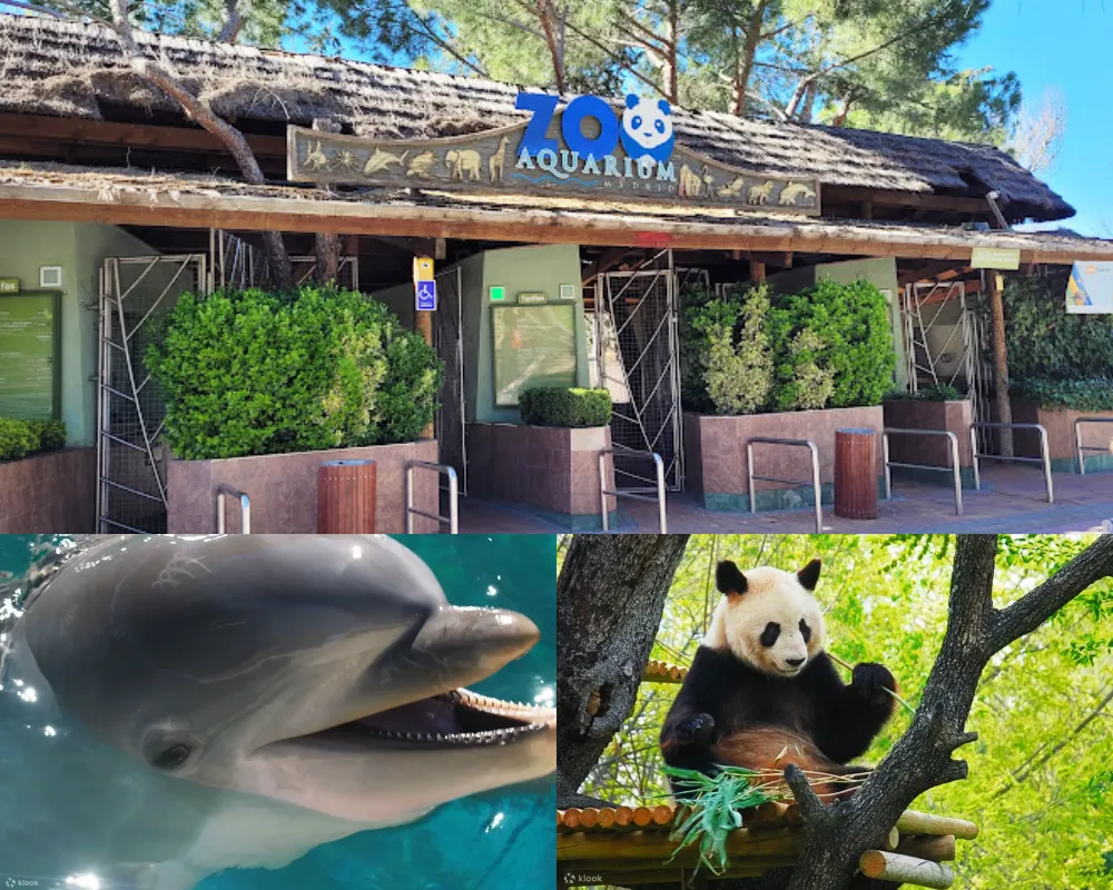 馬德里動物園水族館 Zoo Aquarium de Madrid