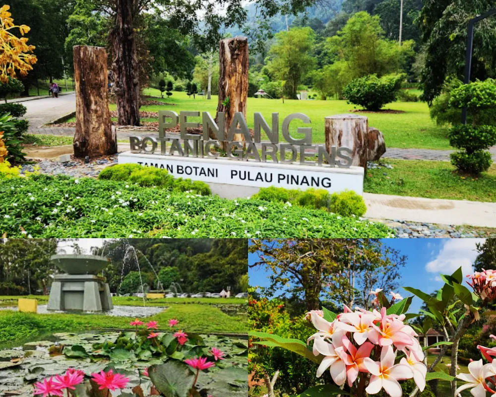 檳城植物公園 Penang Botanic Gardens