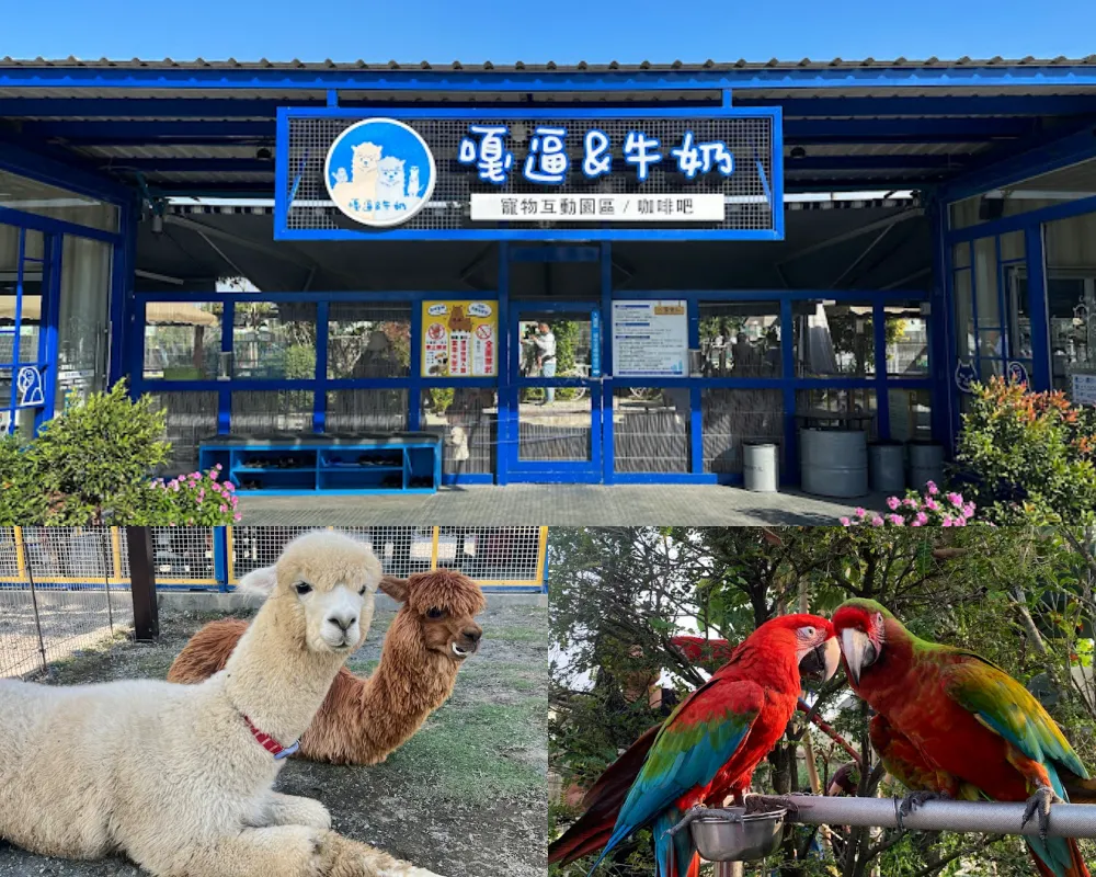 嘎逼＆牛奶互動園區