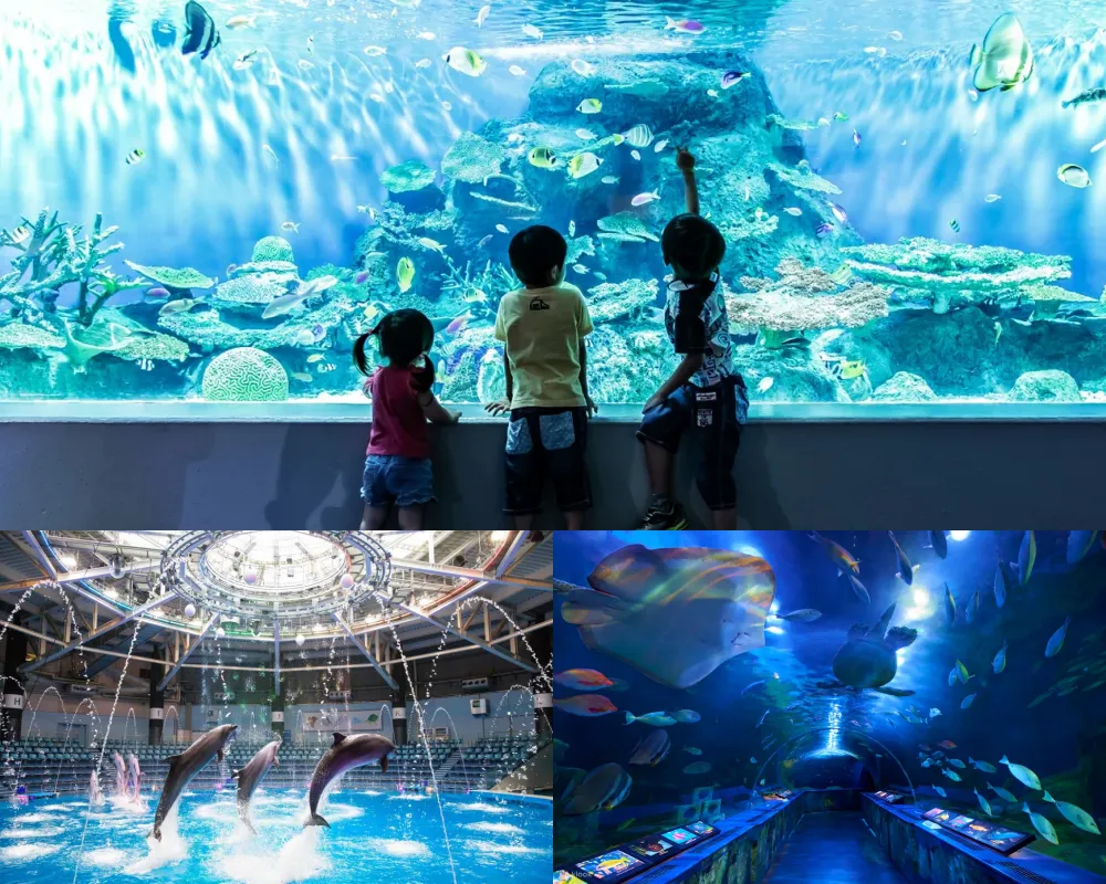 品川水族館 Shinagawa Aquarium