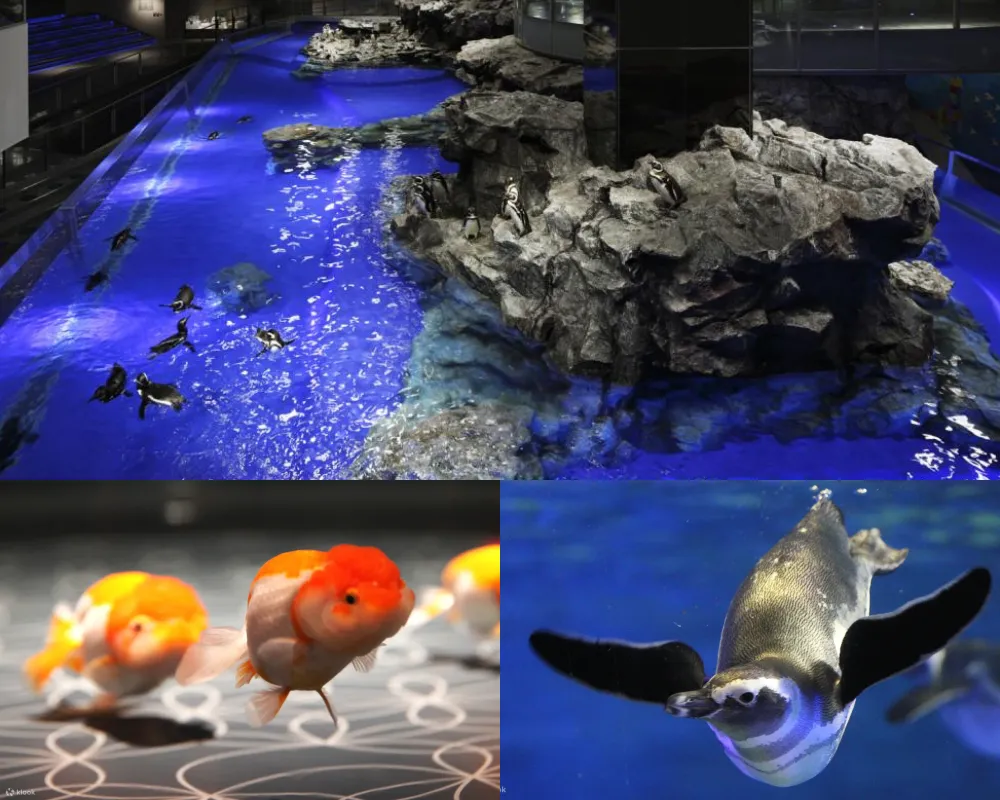 墨田水族館