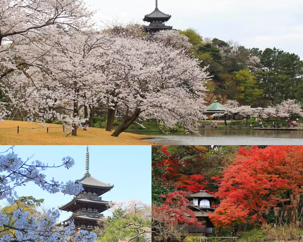 橫濱三溪園