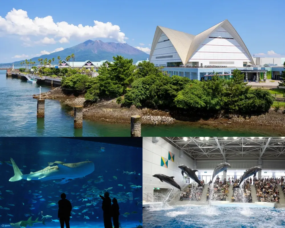 鹿兒島水族館