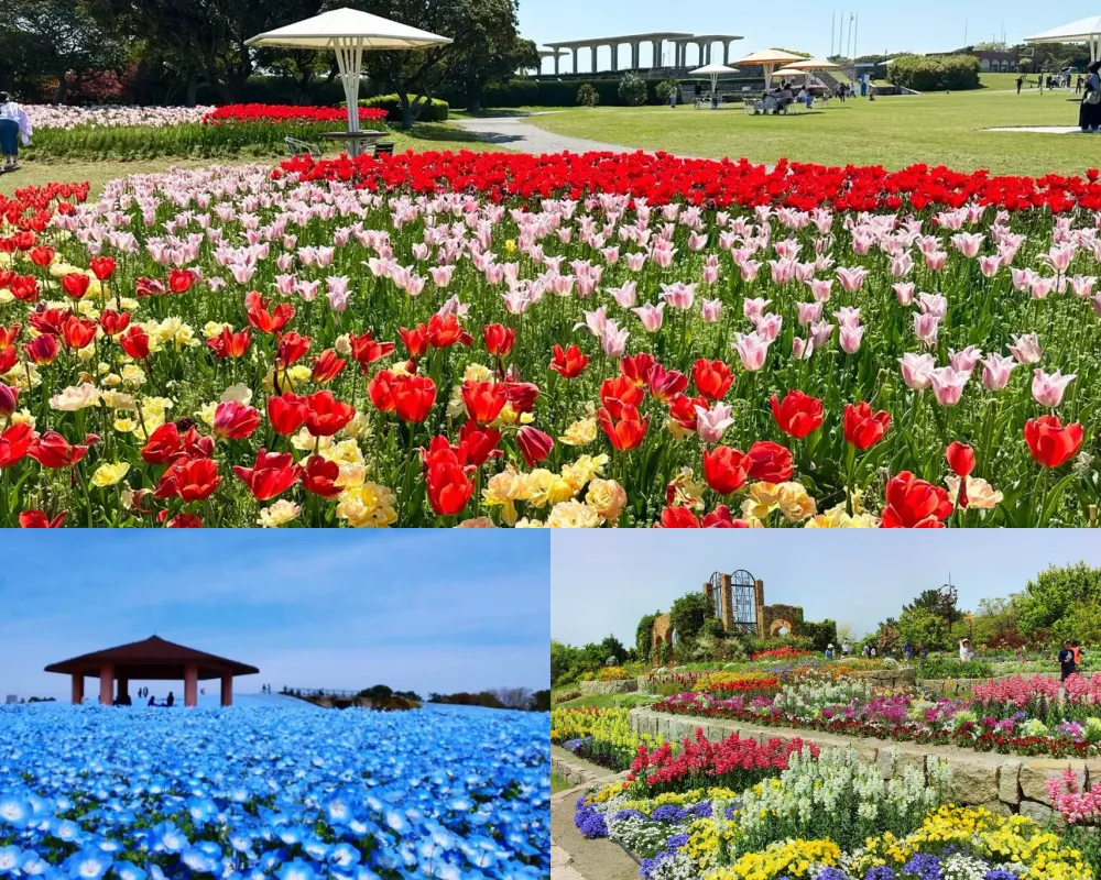 海之中道海濱公園