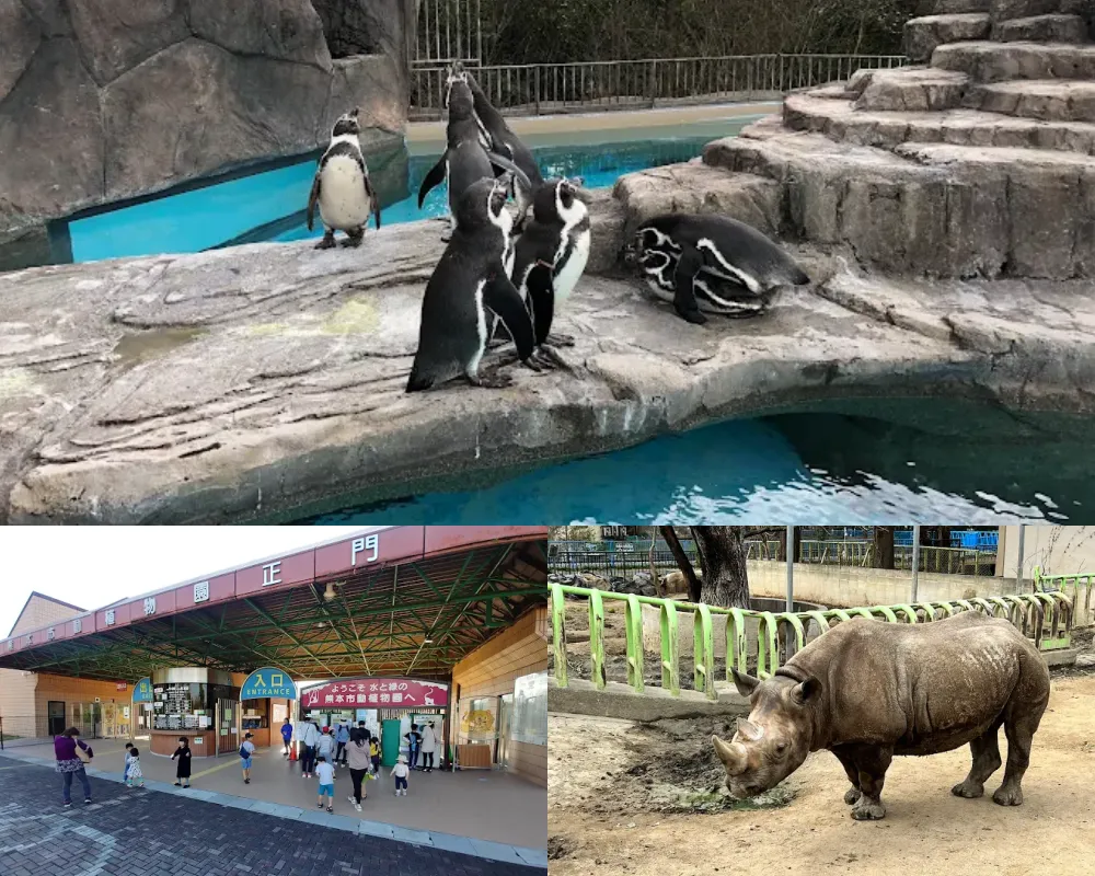 熊本市動植物園