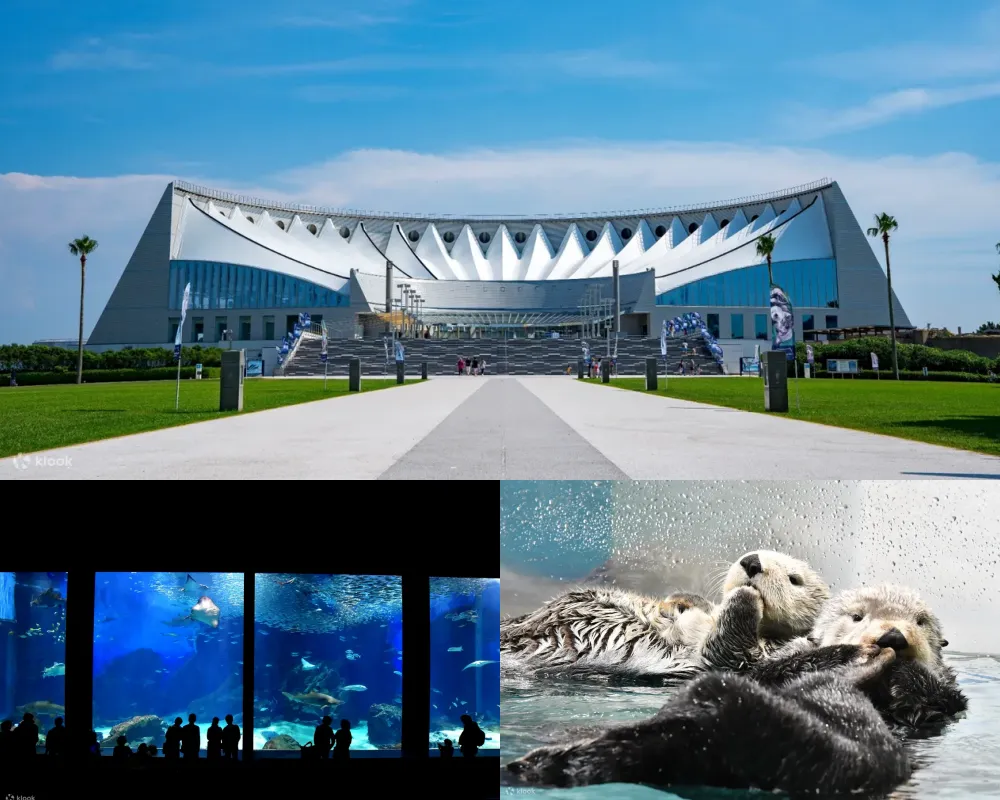 福岡海之中道海洋世界