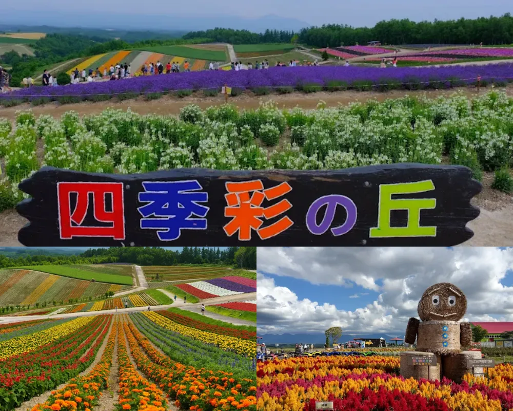 四季彩之丘