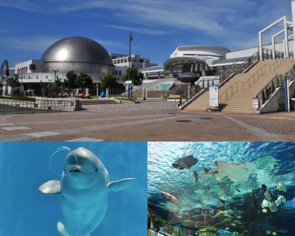 名古屋港水族館