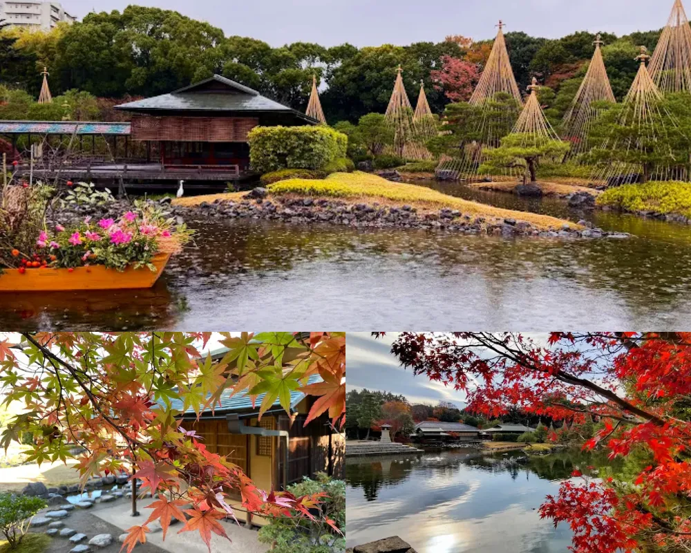 白鳥庭園