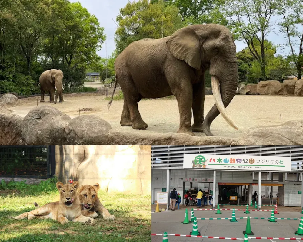 仙台市八木山動物園