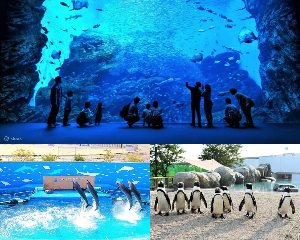 仙台海洋森林水族館