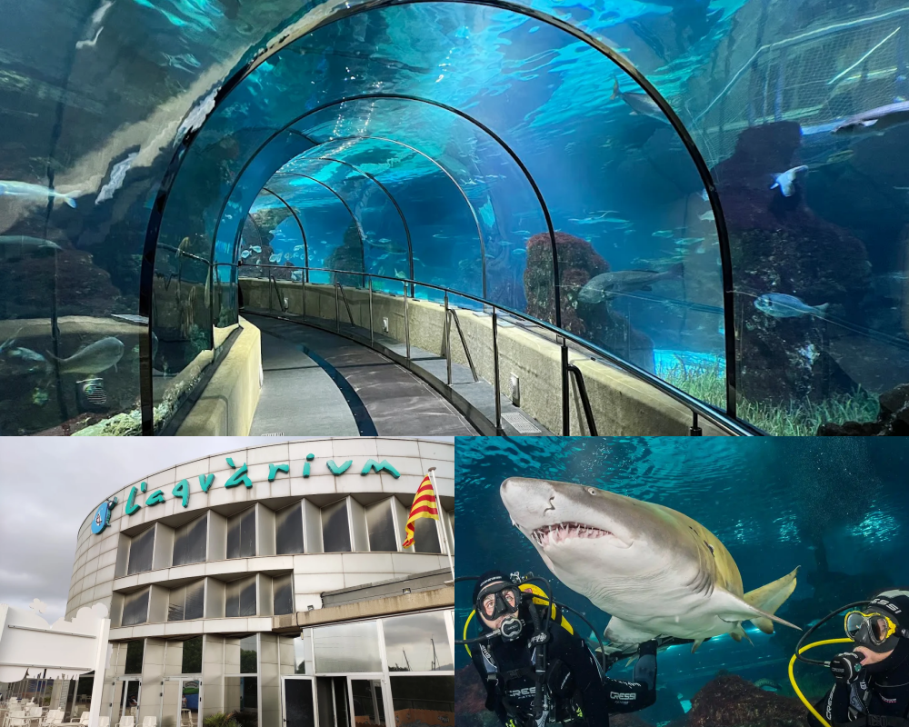 巴塞隆納水族館