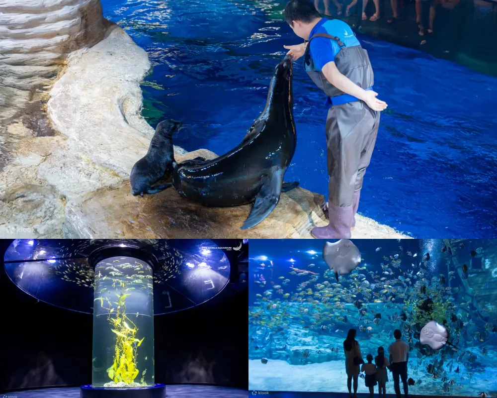 樂天世界水族館