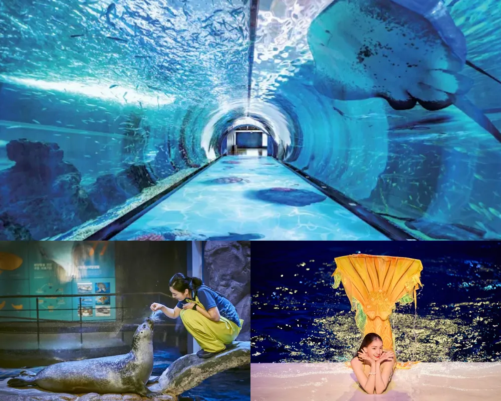 濟州Aqua Planet海洋世界(아쿠아플라넷 제주)