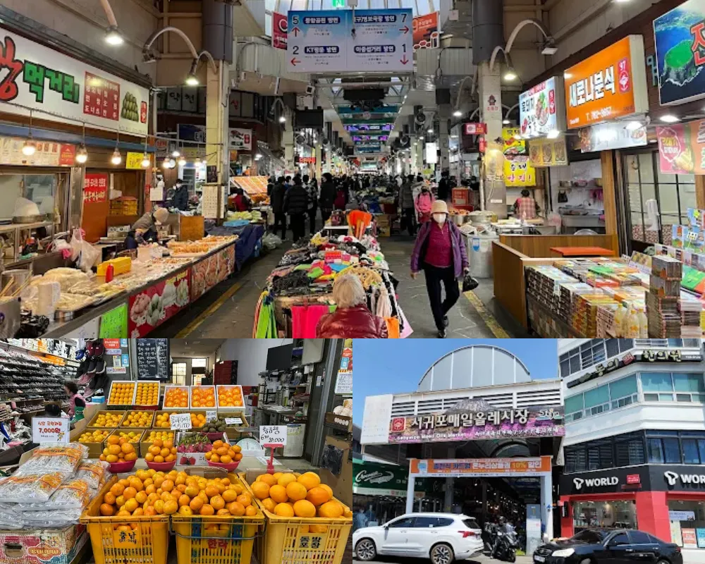 西歸浦每日偶來市場(서귀포매일올레시장)
