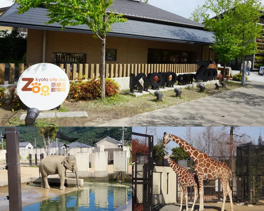 京都市動物園