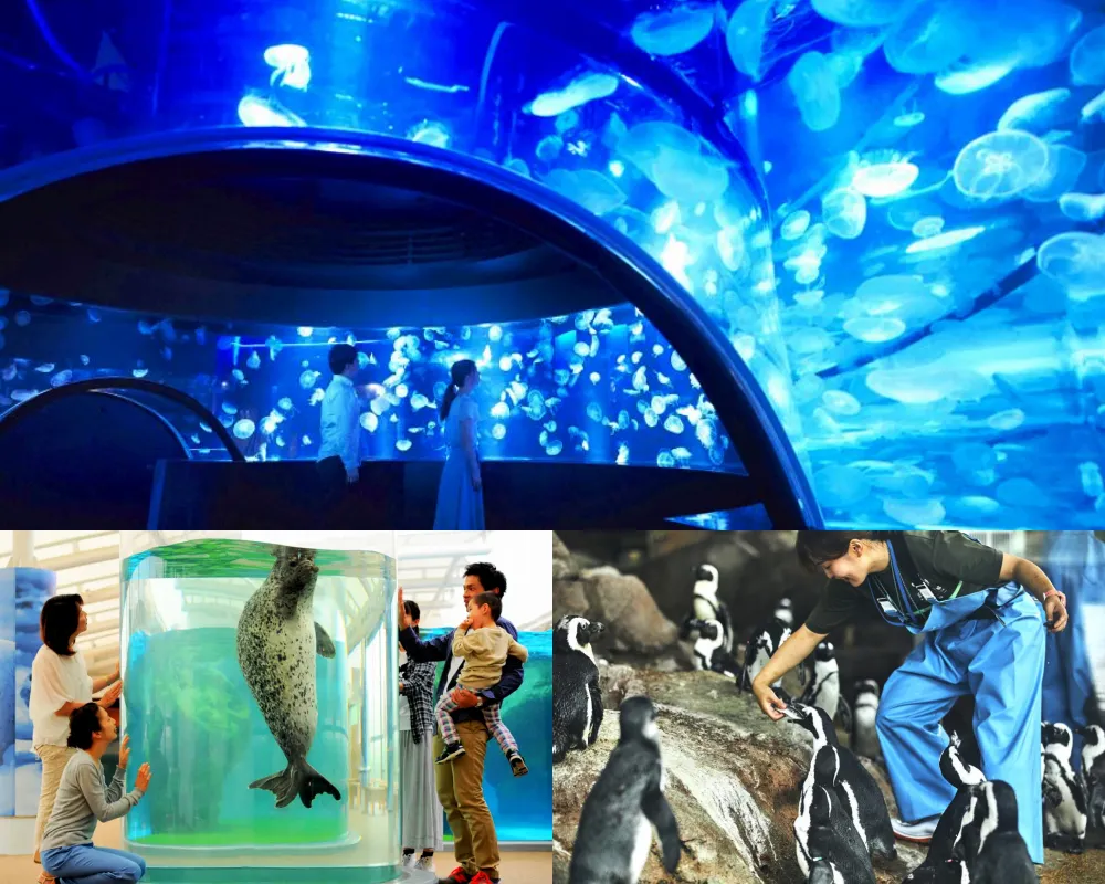 京都水族館