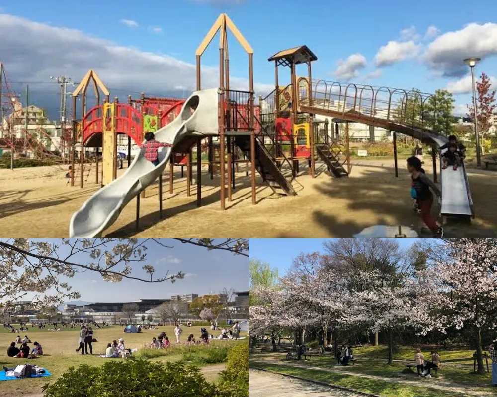 梅小路公園