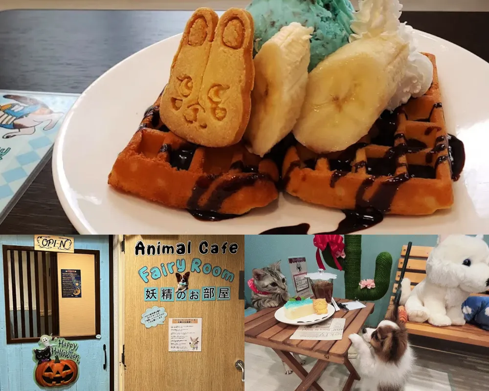 Animal Cafe Fairy Room