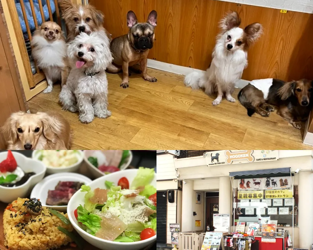Hogoken Cafe & Restaurant Higashi-dotombori