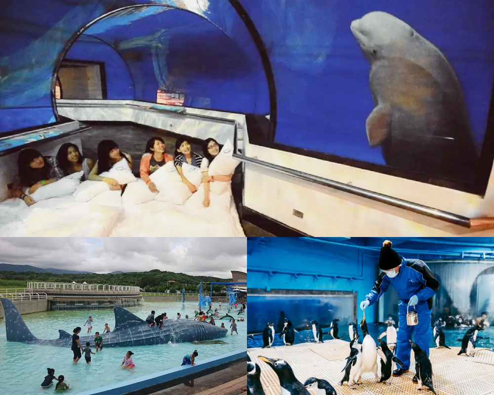 國立海洋生物博物館