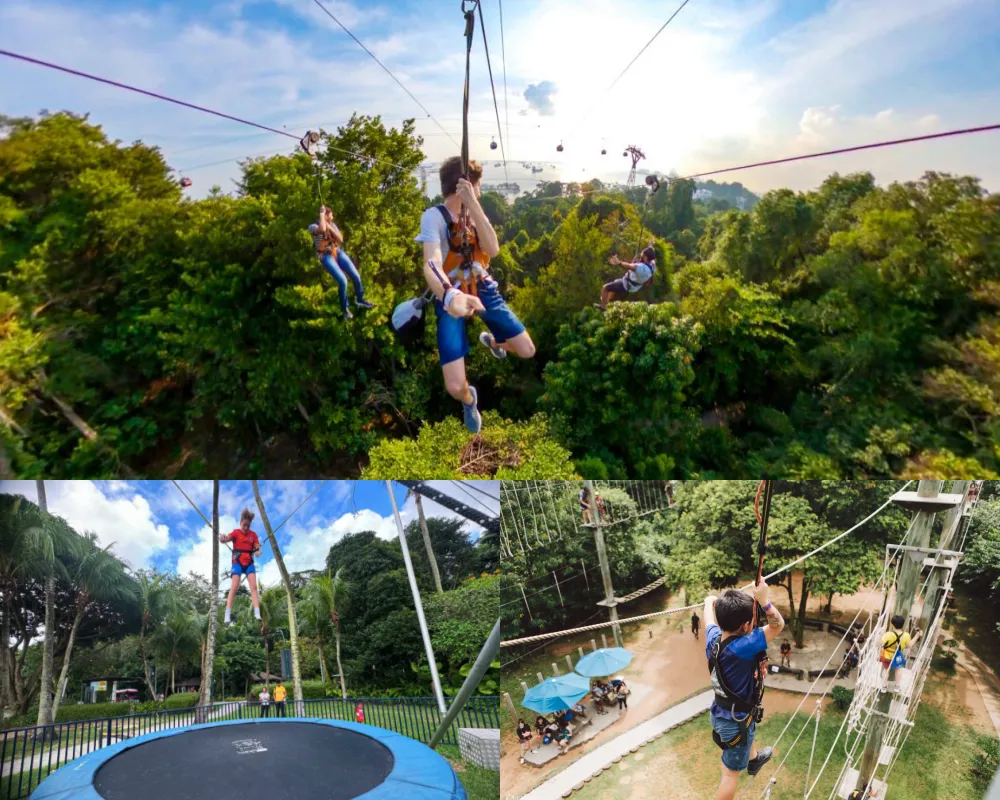 新加坡 Mega Adventure Park MegaZip