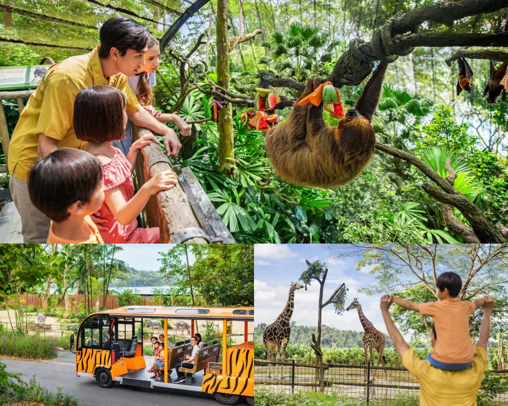 新加坡動物園