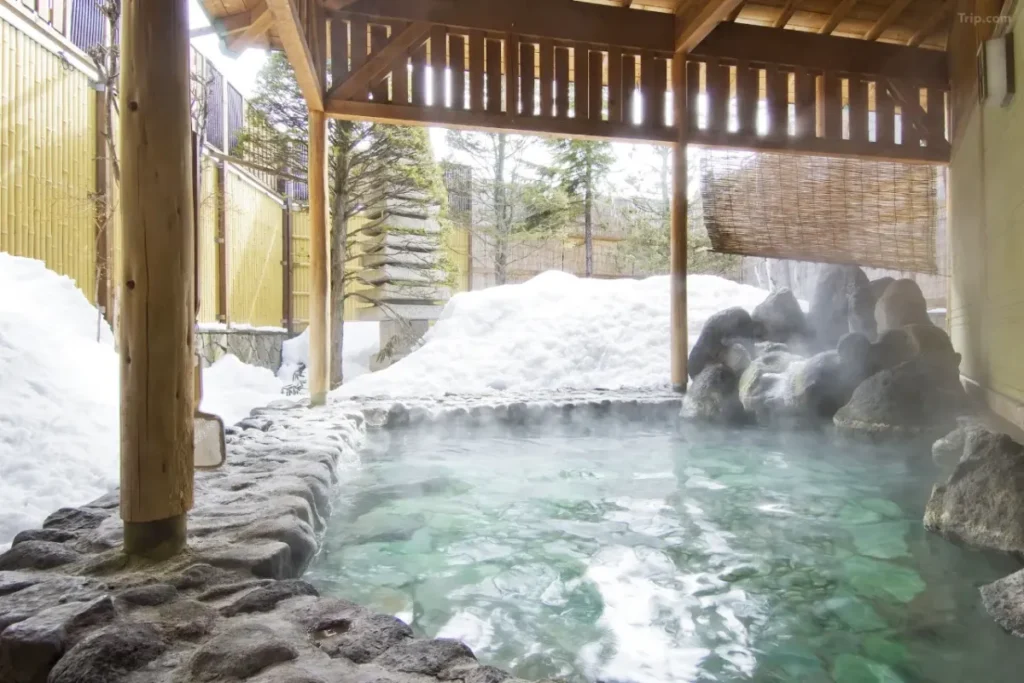 凱恩莫多利酒店
Kusatsu Onsen Kanemidori