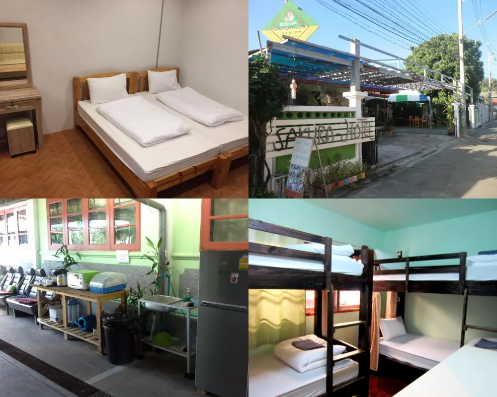 櫻花之家旅舍 Sakura House 