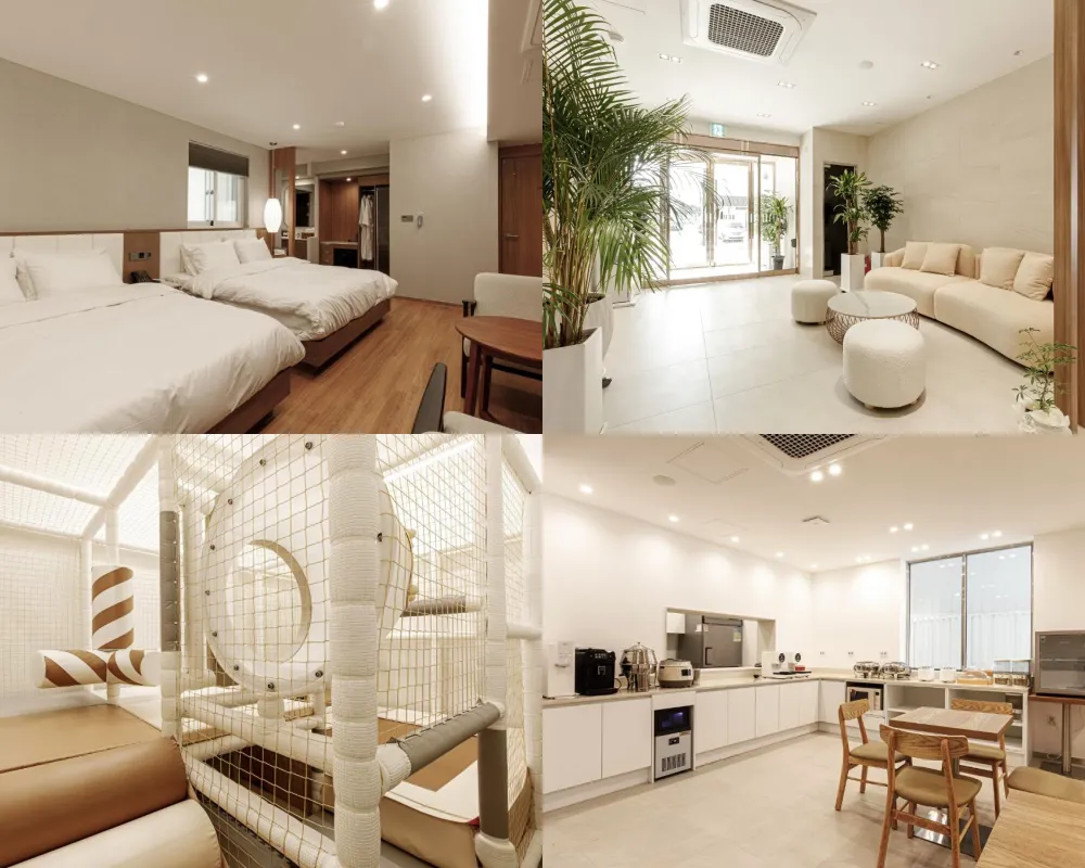 Gyeongju Aventa Hotel 